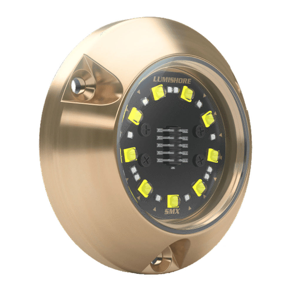 Lumishore ECLIPSE SMX24 Single Light Surface Mount Underwater Light  Blue 0100450100