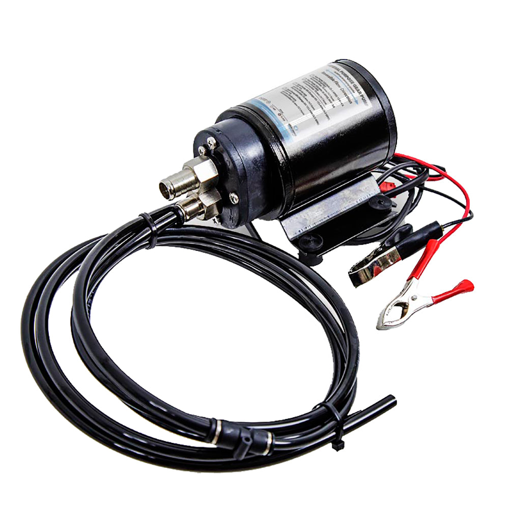 Albin Group Marine Gear Pump Oil Change Kit  12V 0403009
